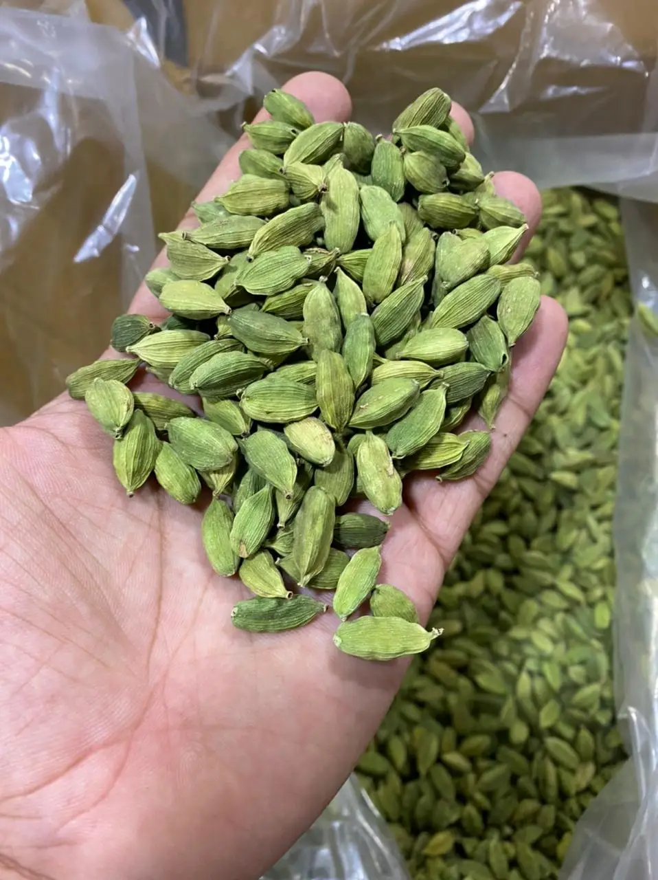 Cardamom elachi
