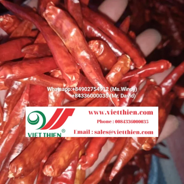 chili powder (5).png