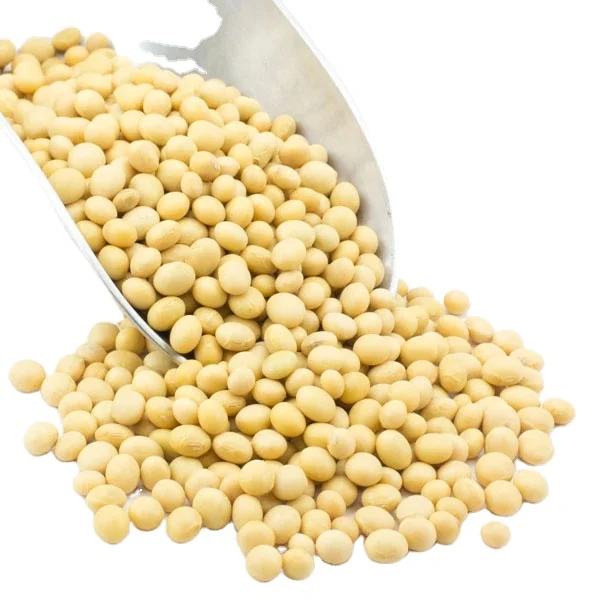 Soybeans NON-GMO Crop High Quality Soybean Wholesale
