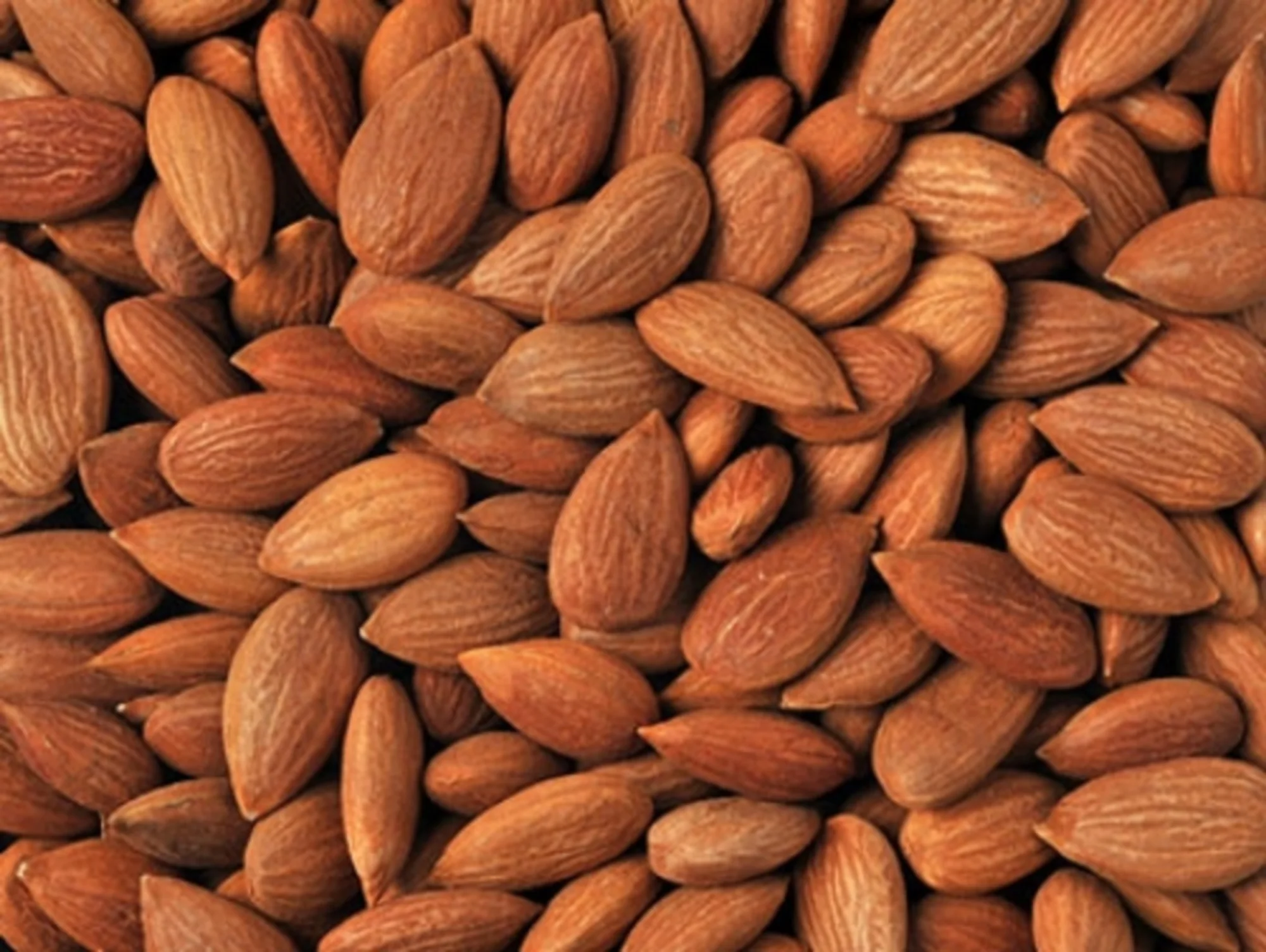 hand peel corn kernel.jpg