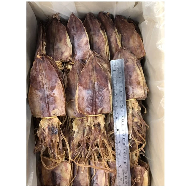 Dried Squid Dried Cuttlefish Squid  Dried Fish Dried Lizard Fish Dried Smoked Strip Catfish Dried Anchovy Fish