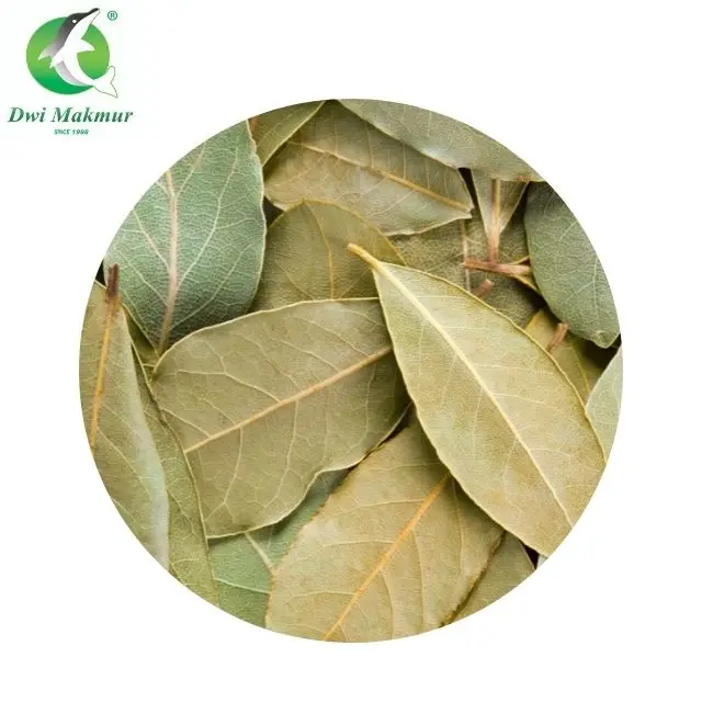 Premium Grade Factory Price 18g Dried Whole Bay Leaf Single Spices & Herbs Natural Dry Bay Leaves for cooking curry as Seasoning