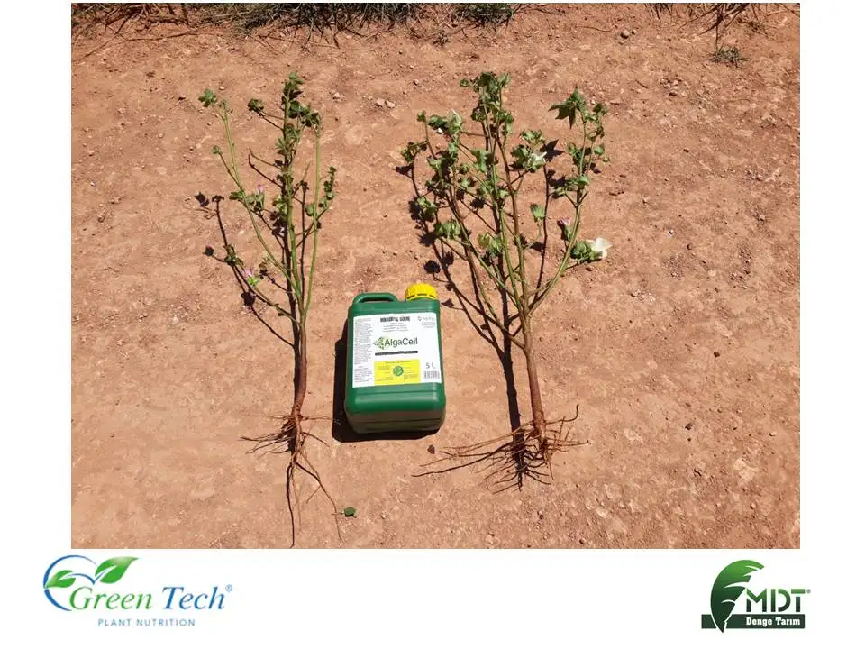 Green Tech AlgaCell - Biological Fertilizer -  Liquid Fertilizer  with ACT ( Active Cell Technology)