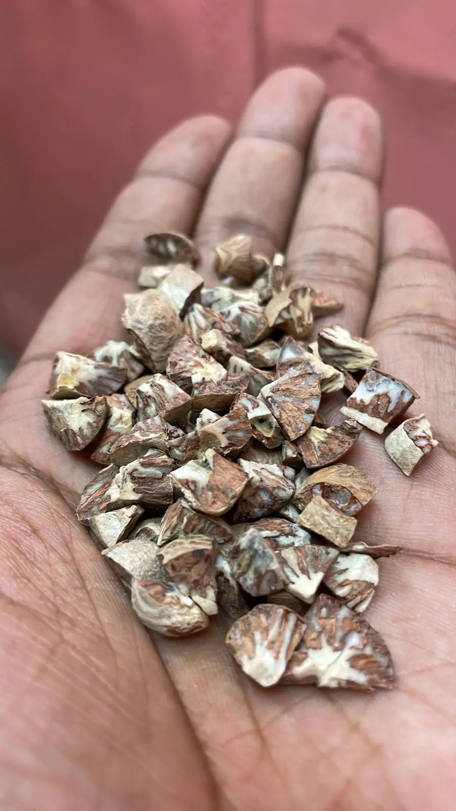 Tukda Betel Nut Diamond Cut