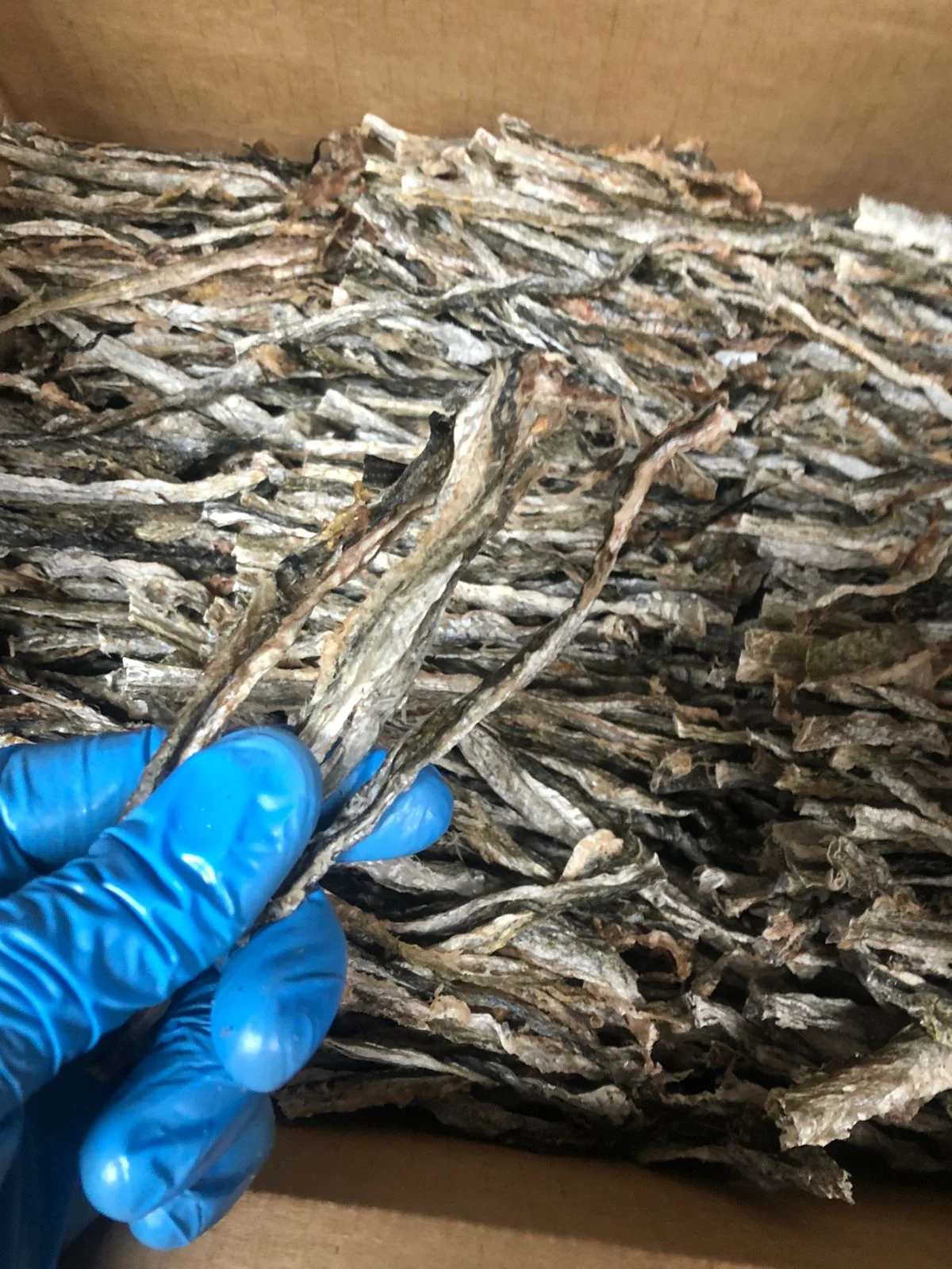 Pollock Dry Skin Dried Frozen Pollock Skin Fish in bulk from Russia manufacturer for export seafood supplier