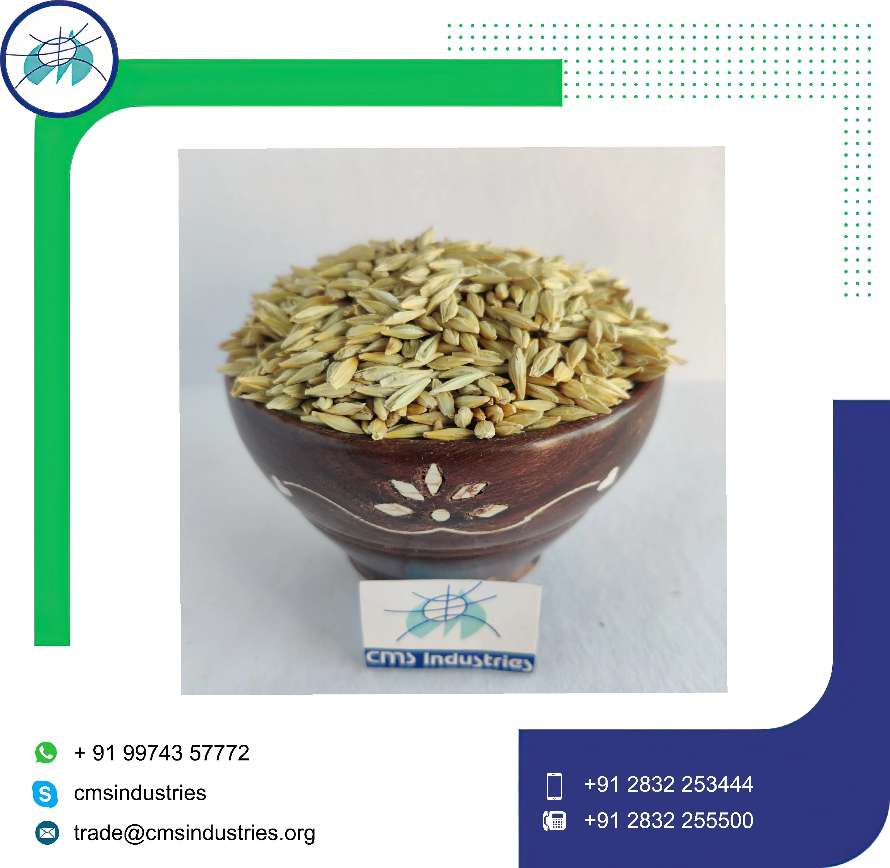 Natural Dried Barley