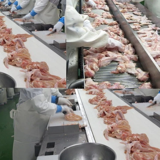 Frozen Chicken Feet Frozen Chicken Paws MJW Breasts Halal Frozen Whole Chicken