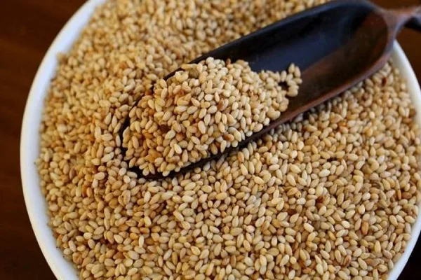 EGYPTIAN Golden Sesame Seeds SORTEX QUALITY 99.9 % 2022