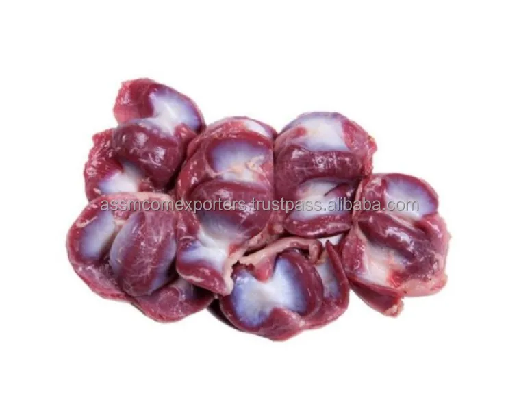 gizzard 3.jpg
