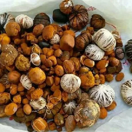 buy Cow Gall Stones / Ox Gallstones for Sale cheap