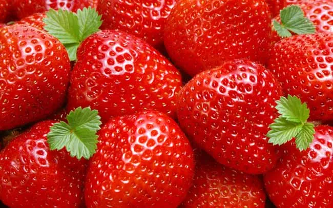 Fresh Strawberry wholesale Fresh Berries