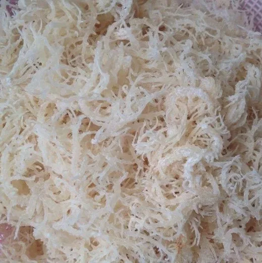 Морской мох из