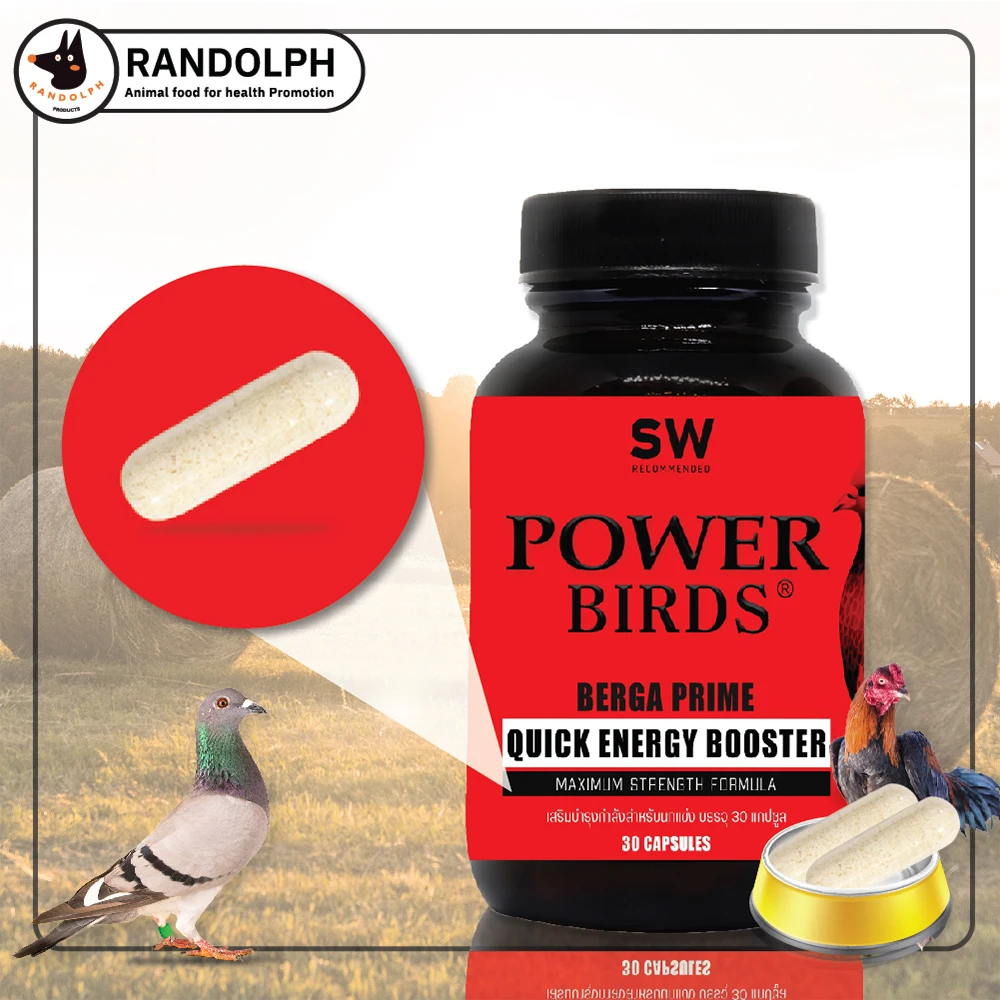 Рандольф мощные птицы быстрая энергия легкое питательное поглощение и возможность немедленно использовать лучшие товары для домашних животных из Таиланда
