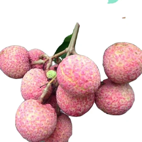 Fresh Litchi Season 2022, contact  +84963818434