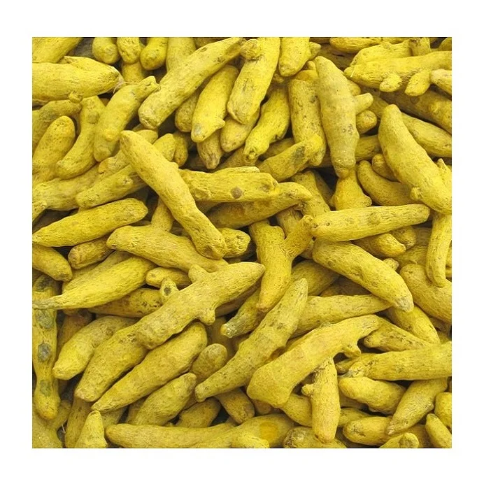 Custom Made OEM Dry India Turmeric Finger / Haldi Top Grade Spices & Herbs Products Buy From Indian Supplier