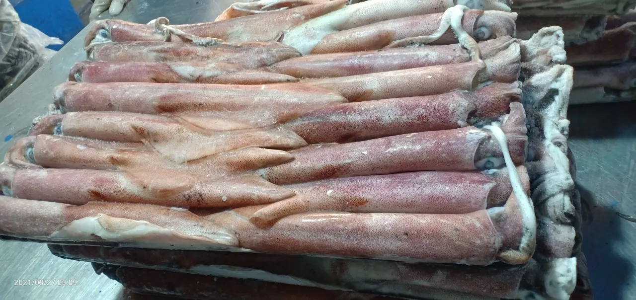 Высококачественный морской кальмар из Индонезии замороженный