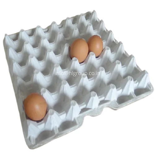 Commercial Transport Paper Egg Tray from Indian Market