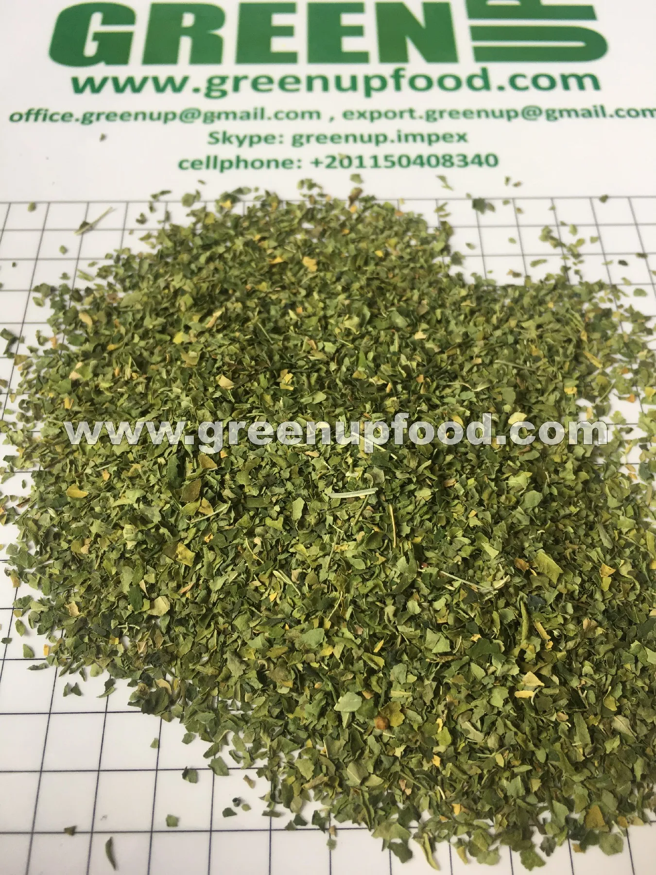 Moringa leaves green color no ash content no admixture no dark leaves  no impurities  fresh crops Moringa oleifera