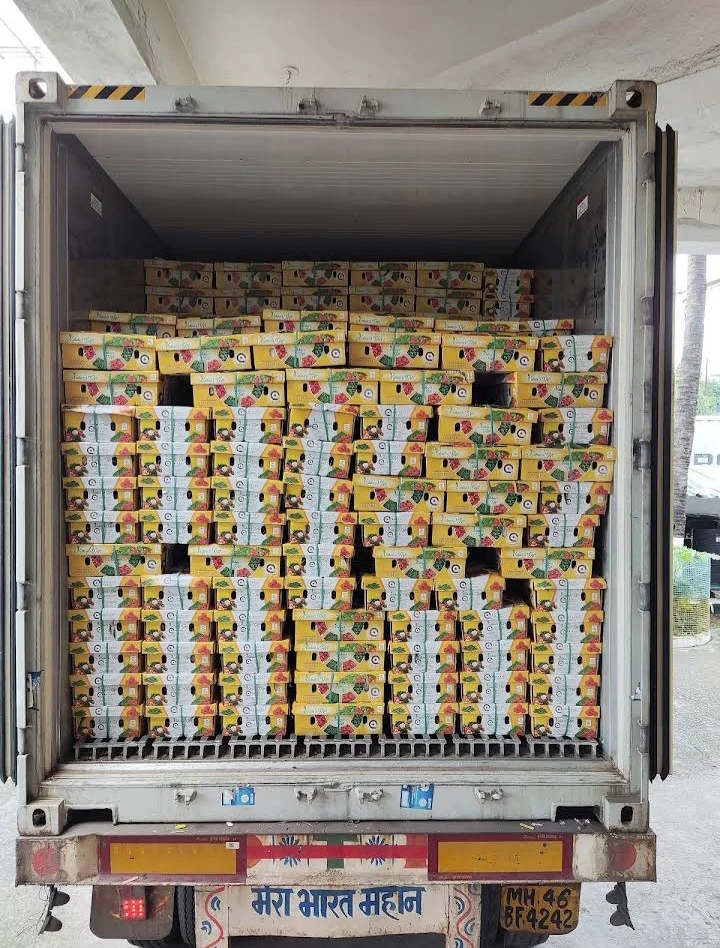 Best Quality Indian G4 Green Chilli