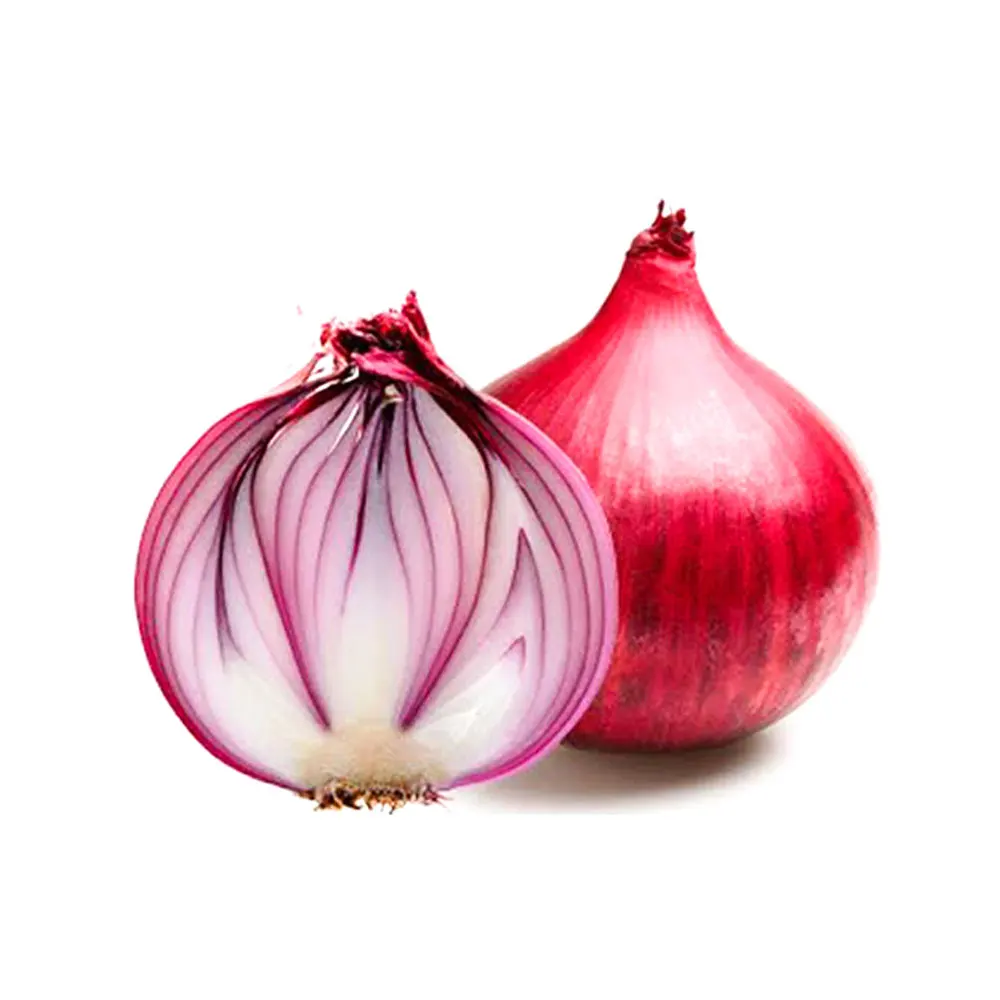 New Season Factory Direct Supply 100% Top High Quality Cheap Price Fresh Vegetable Large size Onion For Sale