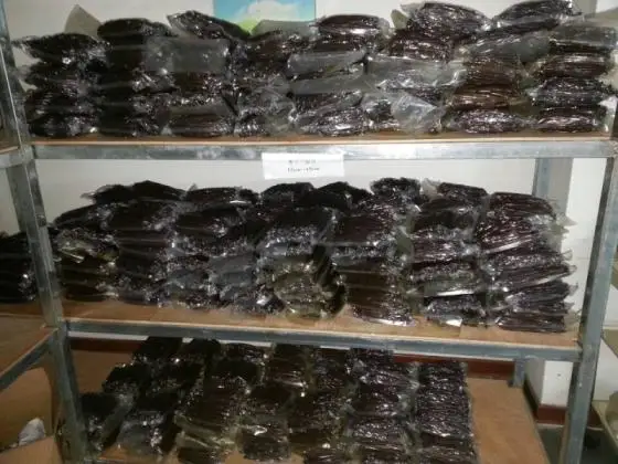 Высококачественные черные Ванильные бобы для продажи в Таиланде/бобы