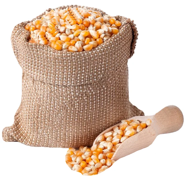 Натуральная сушеная Желтая Кукуруза с высоким содержанием белка для корма животных