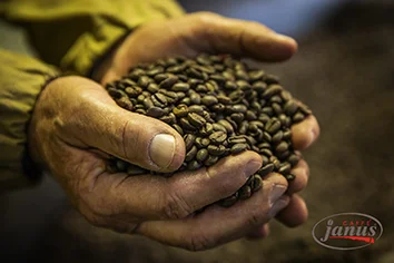 Напиток холодного приготовления кофе итальянский эспрессо 100% натуральный без сахара 0 калорий 70% Арабика 30% Robusta пакет в коробке 1 5 л