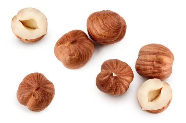 Оптовая продажа лесной орех высшего качества по низкой