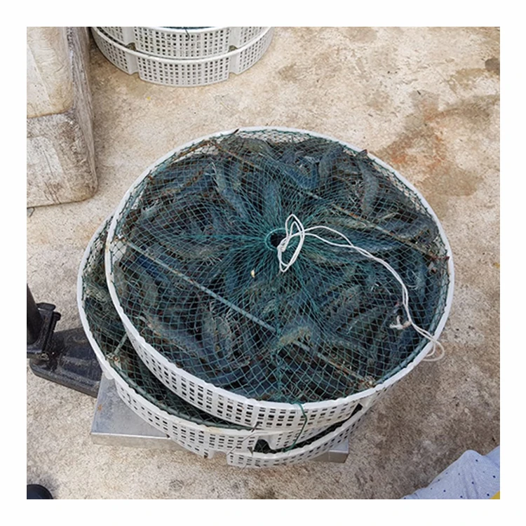 
Seafood Supplier Fresh White Shrimp or Raw Prawn 