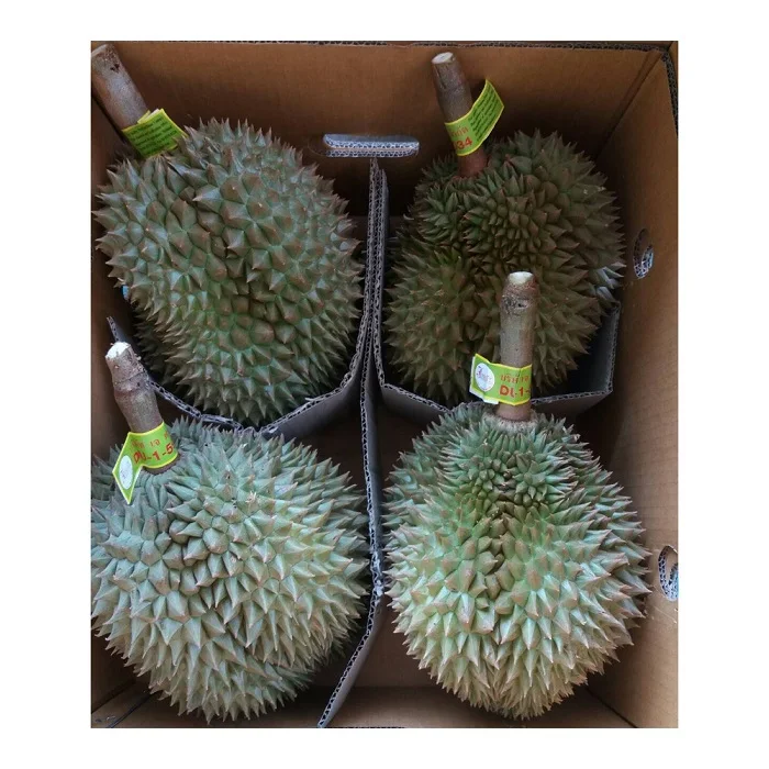 Fresh Musang King