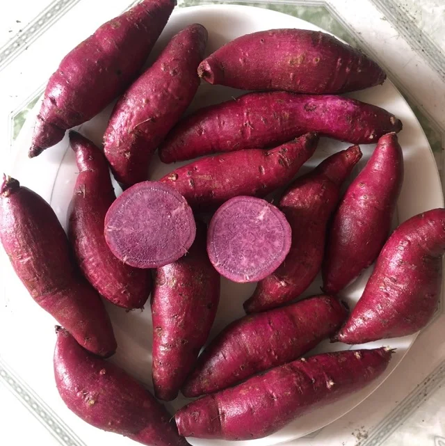 Frozen red sweet potato/yellow sweet potato high quality