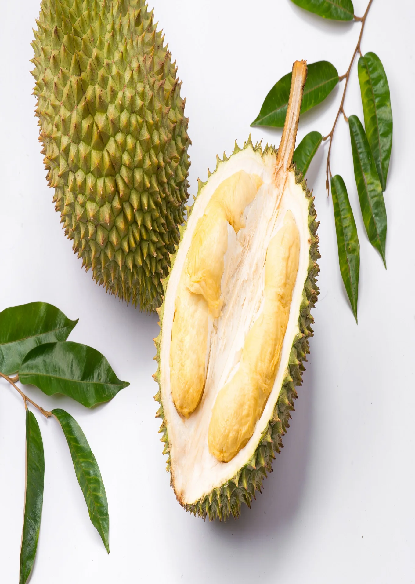 High Quality Carton Box Packaging Yellow Common Cultivation Type Sweet Taste Durian Export From Vietnam