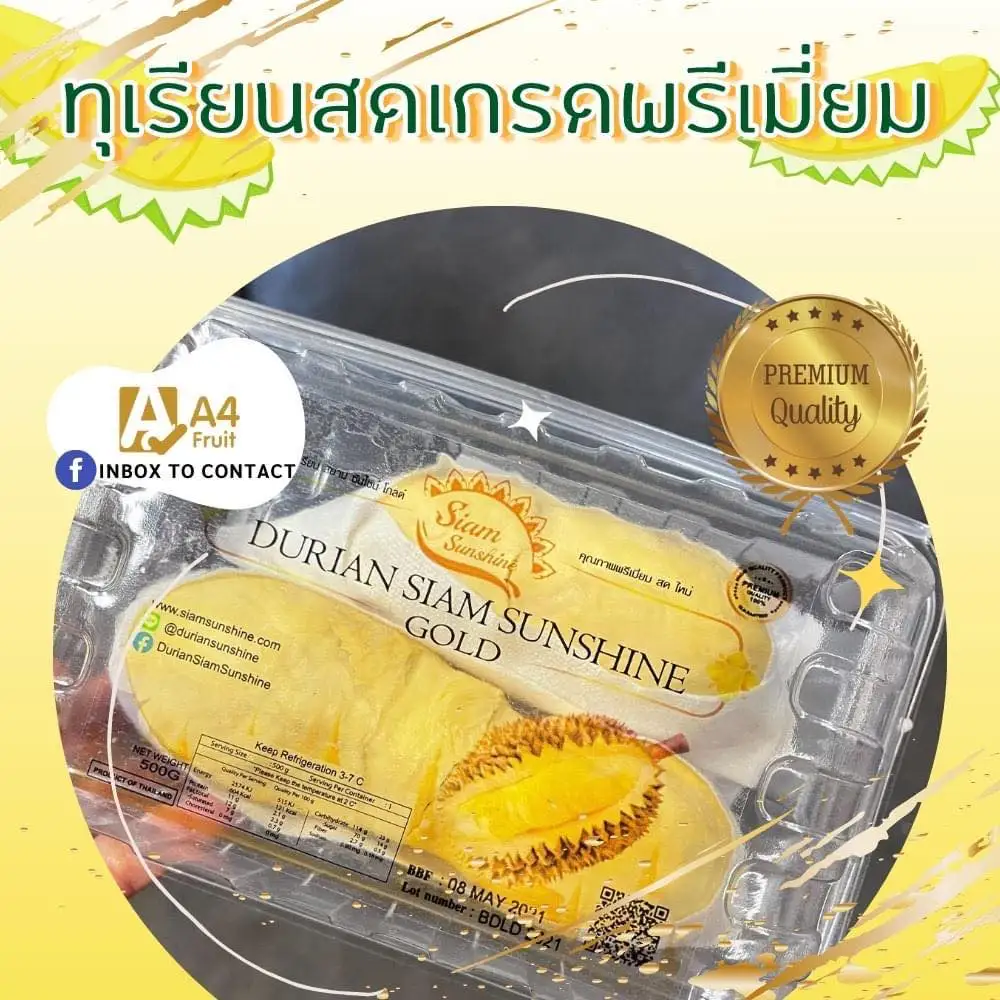 Premium Quality Fresh durians durian frozen durian from Thailand Tropical Style Thai