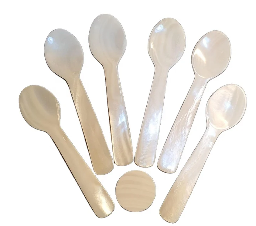 Good promotion shell and horn spoon for caviar egg tea sugar salt and pepper tea and coffee from Vietcrafts