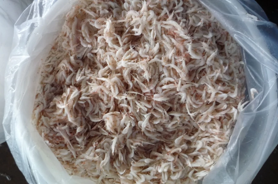 Premium Salted Baby Shrimp for Food - Good Price Origin Vietnam/Ms. Lima +84 346565938