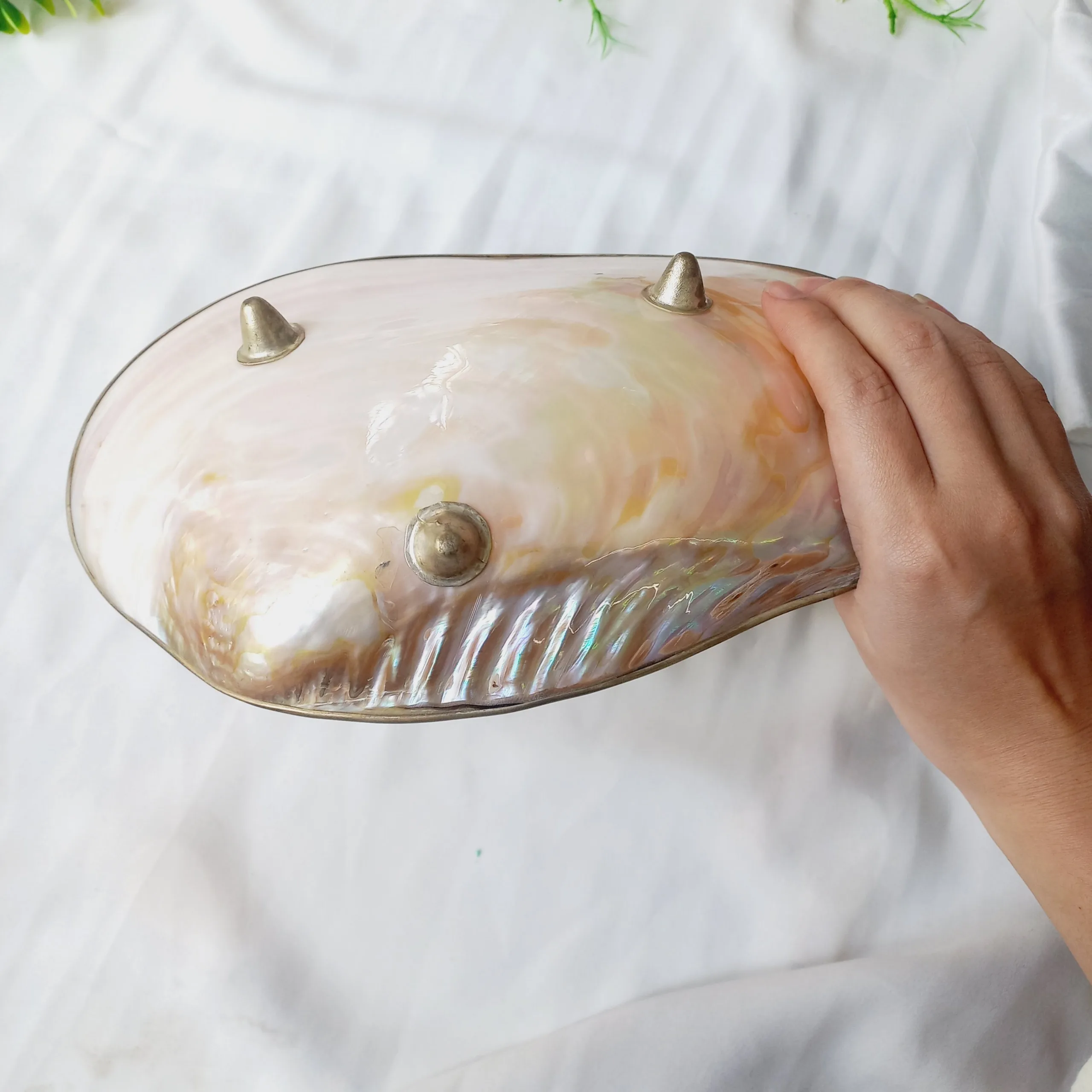 Тарелки с перламутровыми ракушками Amazon тарелки для икры серебряной овальной оправой инкрустацией серебряными краями