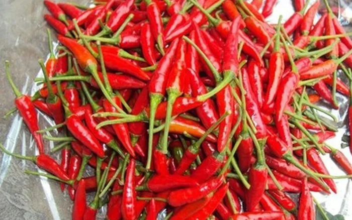 FROZEN FRESH CHILI - FROZEN CHILLI