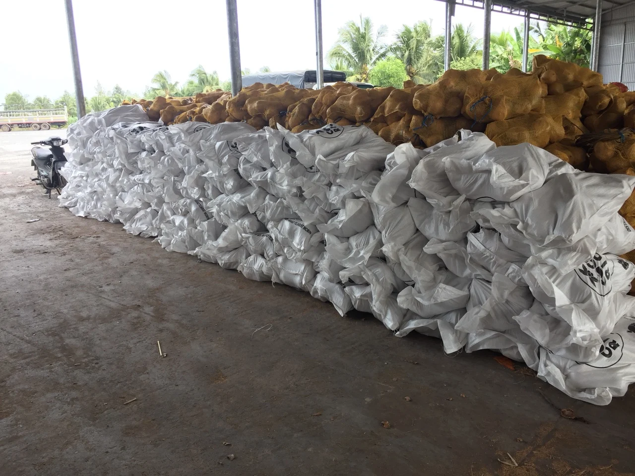 Полуочищенный кокос из Вьетнама (+ 84383234316)