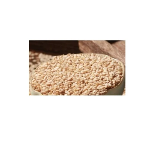 Fresh Sesame High Quality Ready to Ship
