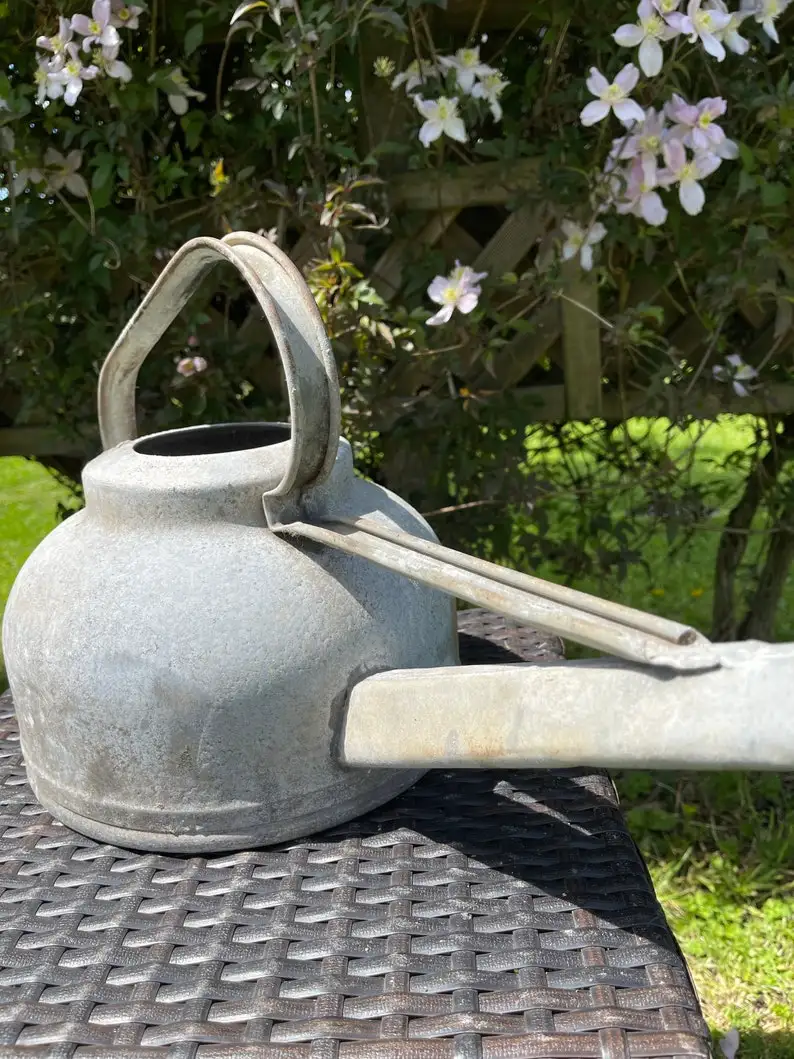 Винтажная Удобная кастрюля для полива железа деревенский готовый садовый инструмент домашний подарок сада растений заводская цена Индия