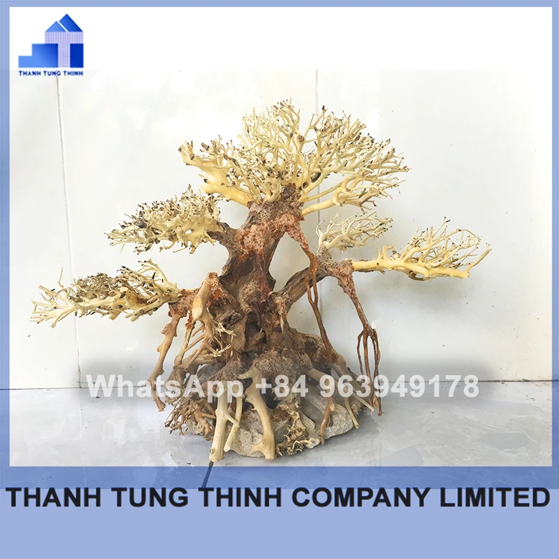 2024 Новинка высококачественные коряги бонсай для аквариума оптом WhatsApp + 84 961005832