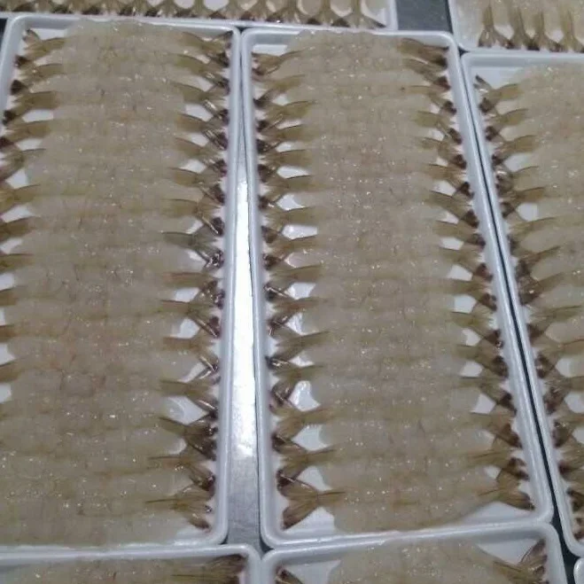 Дешевые креветки vannamei из Вьетнама