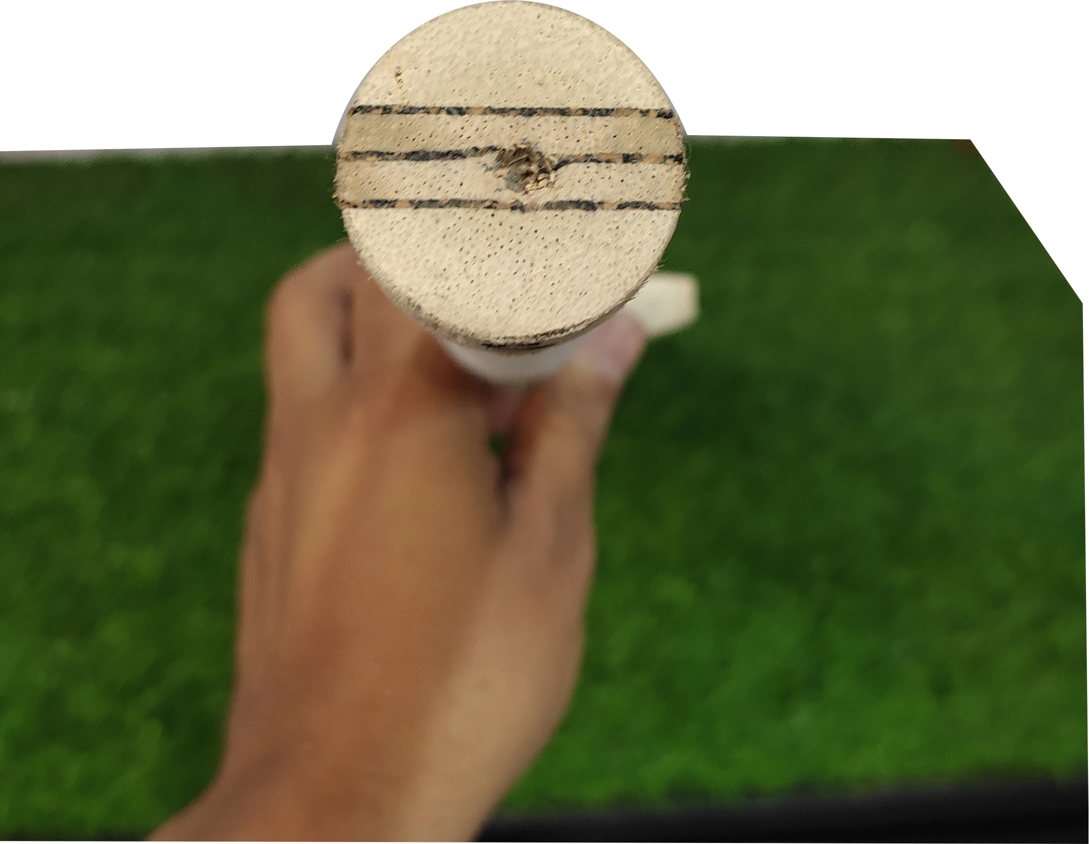 Customized High QUALITY CRICKET BAT English Willow Accept OEM Custom Size Willow Wood LS-CB-10 Durable 10pcs Official Weight PK