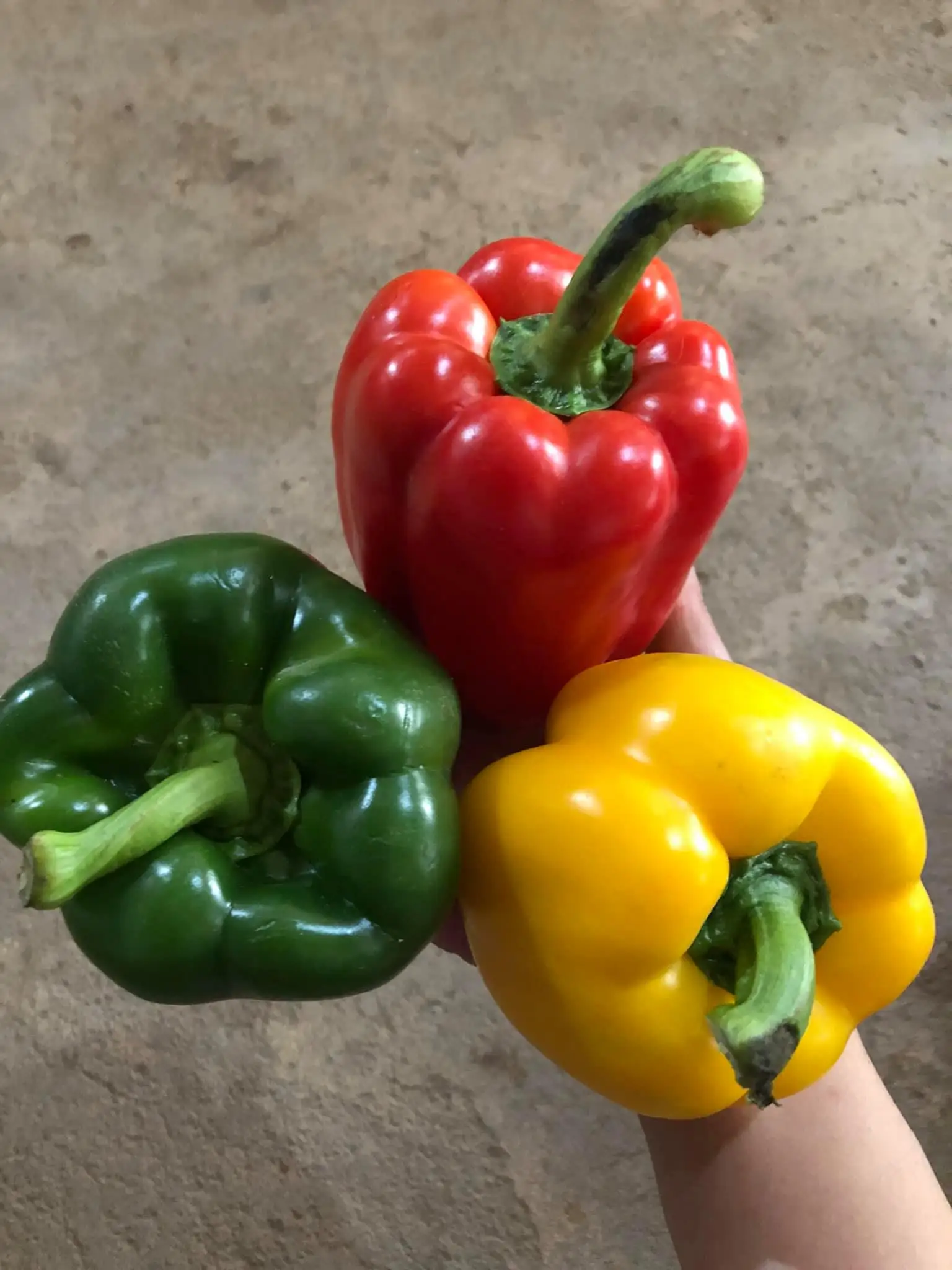 Вьетнам-натуральный продукт-высокое качество и Лучшая цена на экспорт многие