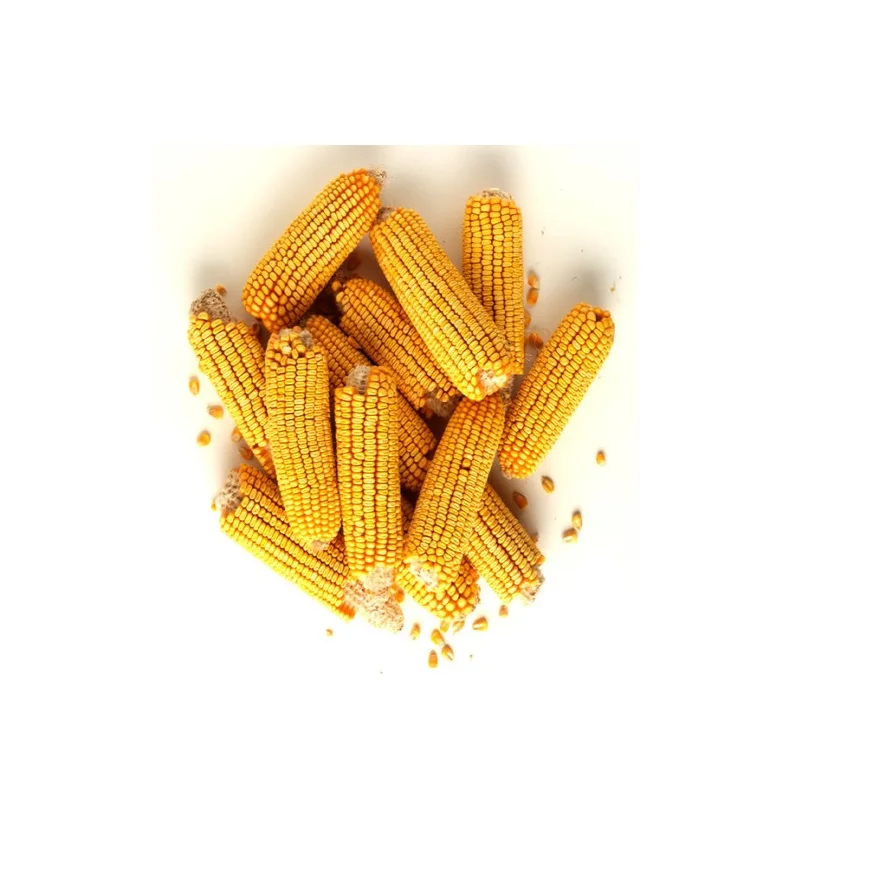 Кукуруза оптом купить желтый свежий сладкий кукурузный вкус для продажи упаковка в пакетах желтая сыпучая Сладкая замороженная кукуруза