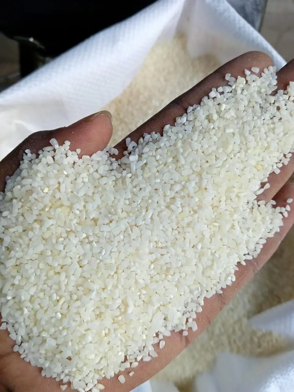 Hot Sale 100% White Rice Factory Price for Animals and Cattle Horse Feed Whole and Broken Kernels Grain