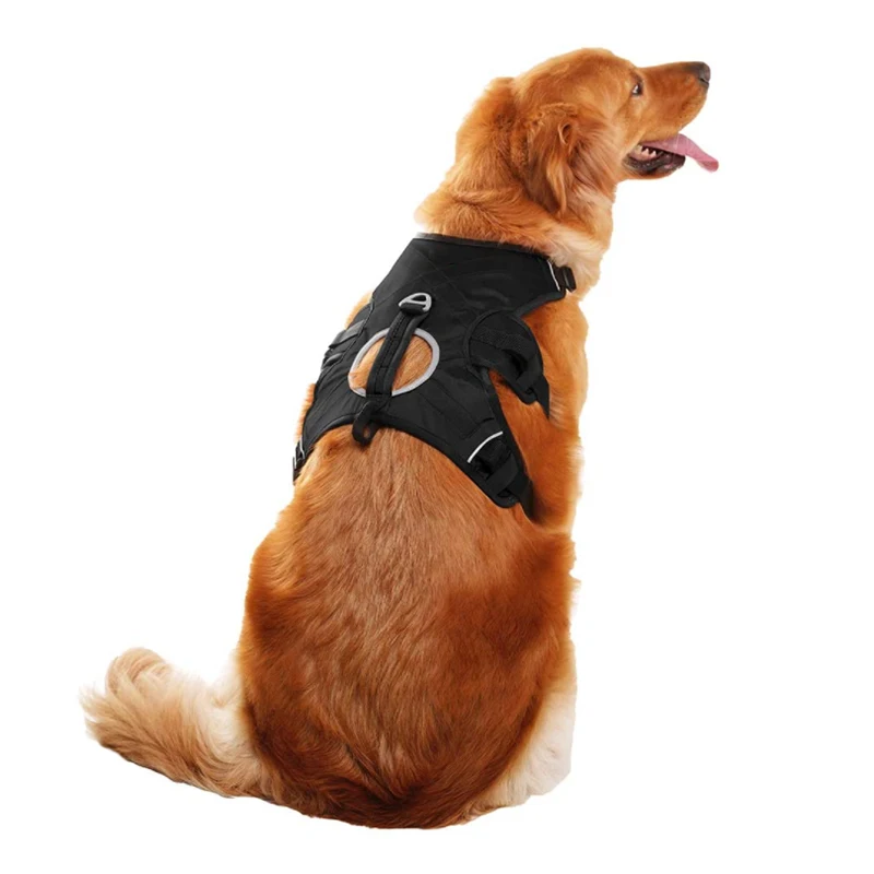 
Derun top quality pet harness vest neoprene design, comfortable and breathable, adjustable explosion-proof buckle, durable 