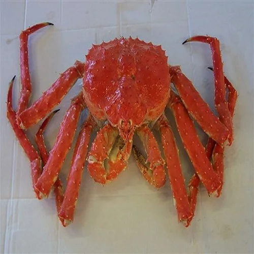 Crab ,Red King Crab ,Live and Frozen Red king crab