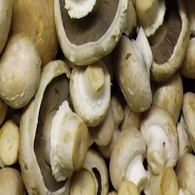 Замороженные грибы Nameko, хорошее качество, лучшие цены