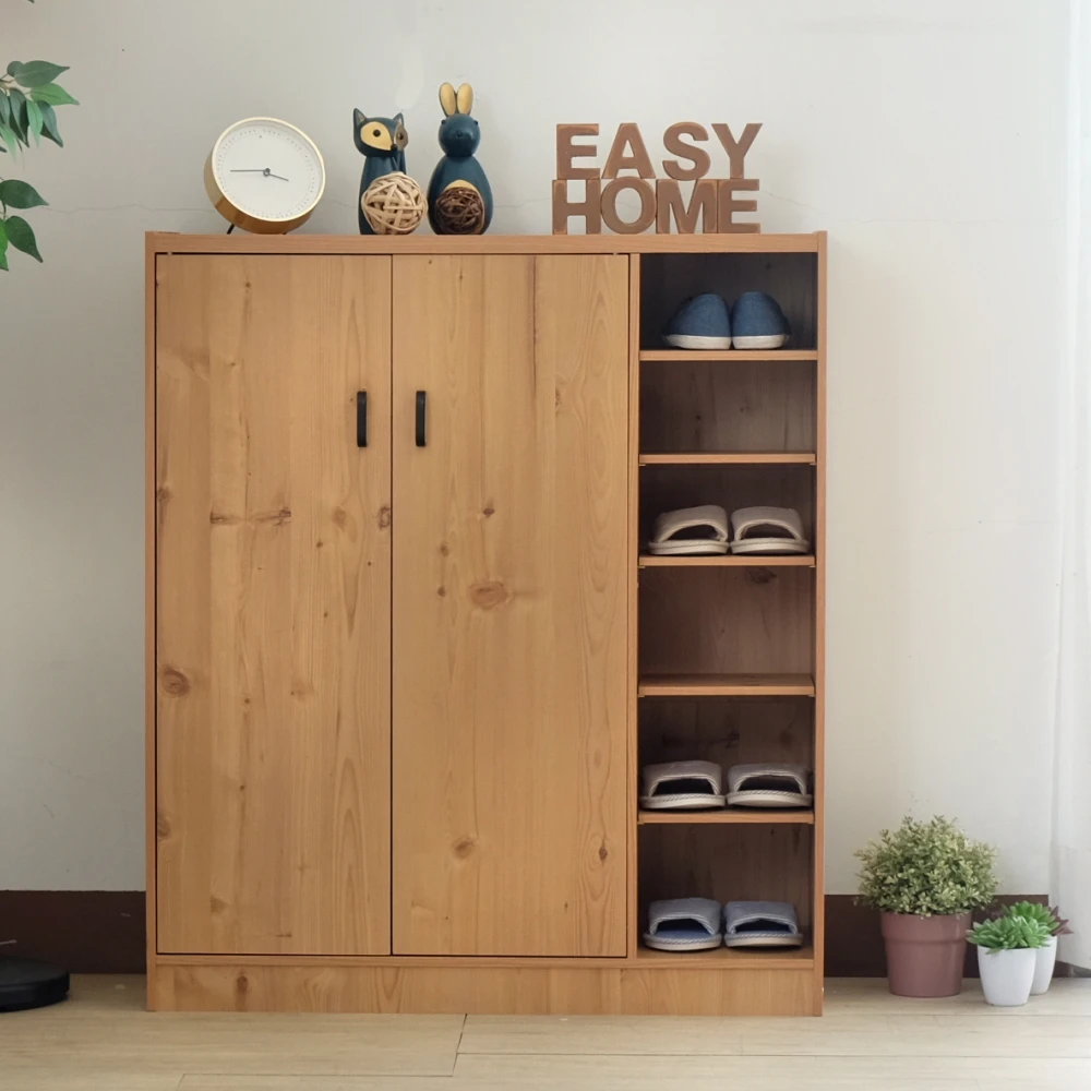Modern shoe cabinet with double door for living room